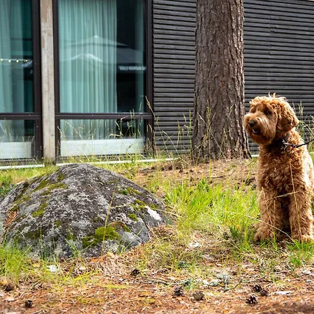 Quality Sveitsi 4* Hyvinkää